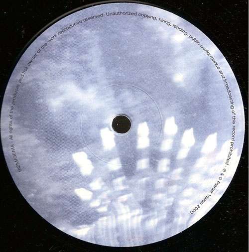 Cover Gecko - Bioneurotica (12) Schallplatten Ankauf