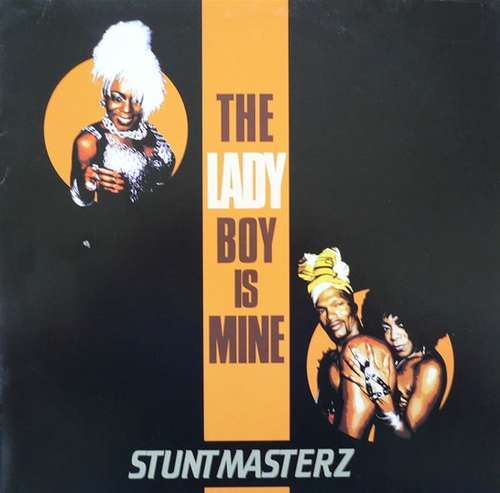 Cover The Ladyboy Is Mine Schallplatten Ankauf