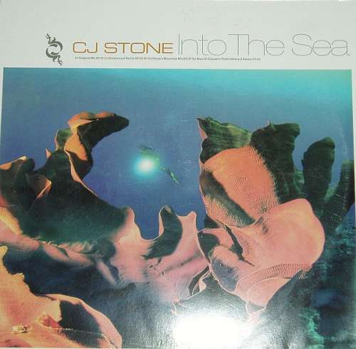 Cover CJ Stone - Into The Sea (12) Schallplatten Ankauf