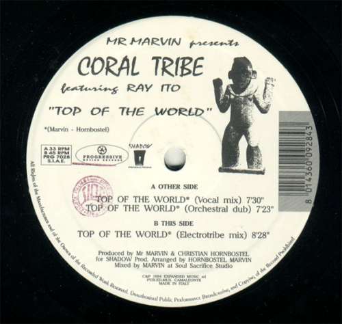 Cover Mr Marvin* Presents Coral Tribe Featuring Ray Ito - Top Of The World (12) Schallplatten Ankauf