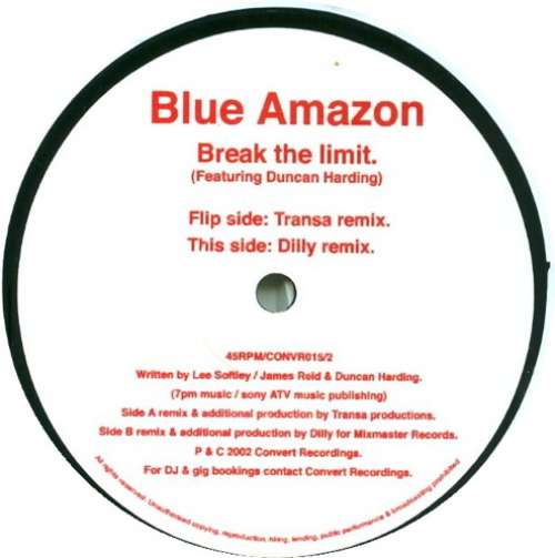 Bild Blue Amazon Featuring Duncan Harding - Break The Limit (12) Schallplatten Ankauf