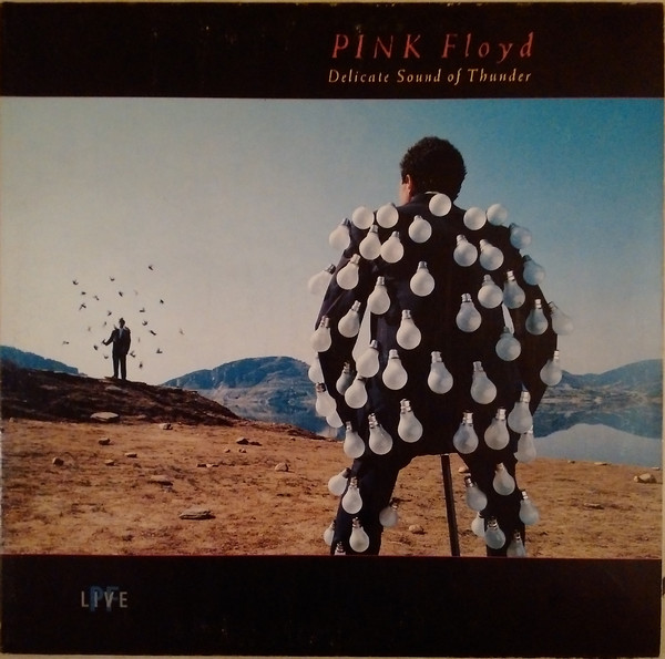 Cover Pink Floyd - Delicate Sound Of Thunder (2xLP, Album) Schallplatten Ankauf