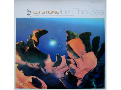 Cover CJ Stone - Into The Sea (Vinyl 1) (12) Schallplatten Ankauf
