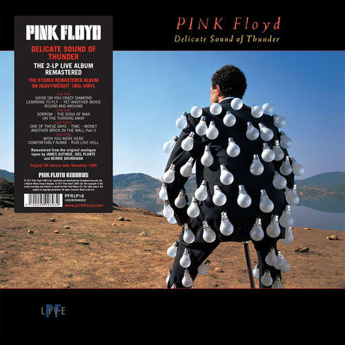 Cover Pink Floyd - Delicate Sound Of Thunder (2xLP, Album, RE, RM, 180) Schallplatten Ankauf