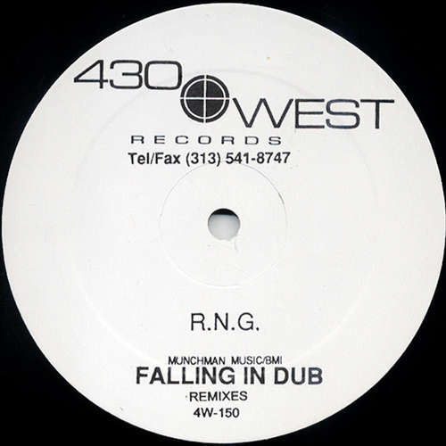 Cover R.N.G.* - Falling In Dub (Remixes) (12) Schallplatten Ankauf