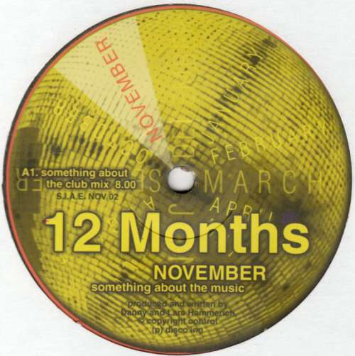 Cover 12 Months - November (Something About The Music) (12) Schallplatten Ankauf