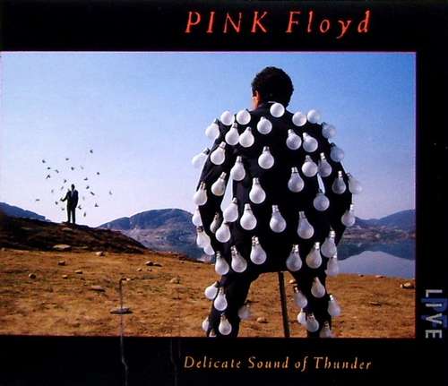 Cover Pink Floyd - Delicate Sound Of Thunder (2xCD, Album) Schallplatten Ankauf