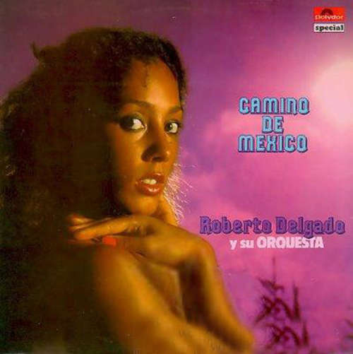 Cover Roberto Delgado - Camino De Mexico (LP) Schallplatten Ankauf