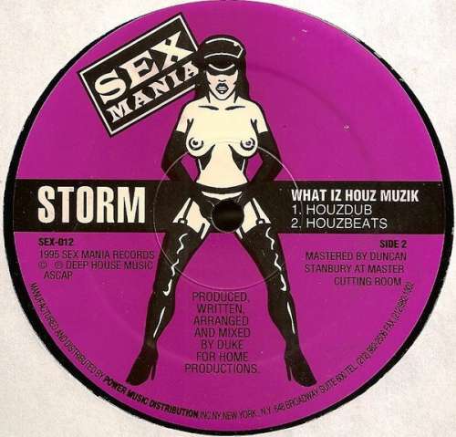 Cover Storm* - What Iz Houz Muzik (12) Schallplatten Ankauf