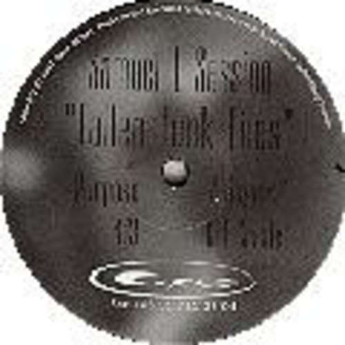Cover Samuel L Session - Fallen Funk Files (12) Schallplatten Ankauf