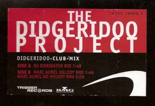 Bild The Didgeridoo Project - Didgeridoo-Club-Mix (12) Schallplatten Ankauf