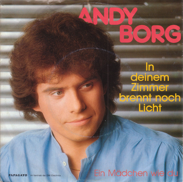 Cover Andy Borg - In Deinem Zimmer Brennt Noch Licht (7, Single) Schallplatten Ankauf