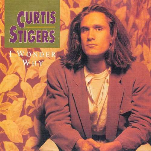 Cover Curtis Stigers - I Wonder Why (7, Single, Inj) Schallplatten Ankauf