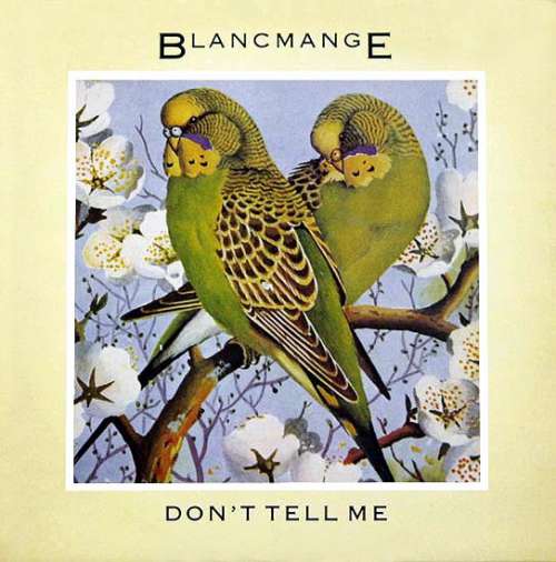 Cover Blancmange - Don't Tell Me (12, Single) Schallplatten Ankauf