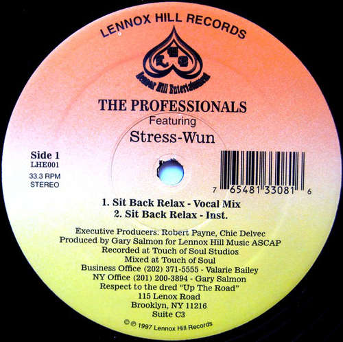 Cover The Professionals (11) - Sit Back Relax (12) Schallplatten Ankauf