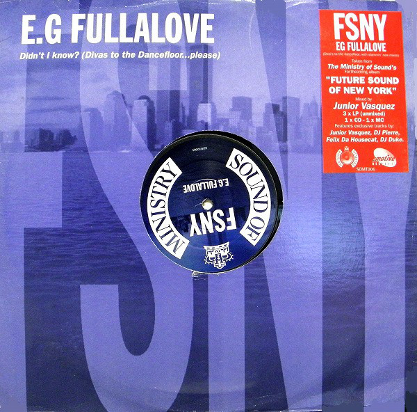 Cover E.G. Fullalove - Didn't I Know? (Divas To The Dancefloor...Please) (12) Schallplatten Ankauf