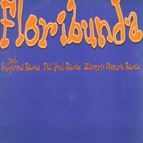 Cover Floribunda Schallplatten Ankauf