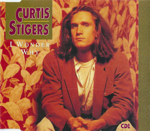 Cover Curtis Stigers - I Wonder Why (CD, Maxi) Schallplatten Ankauf