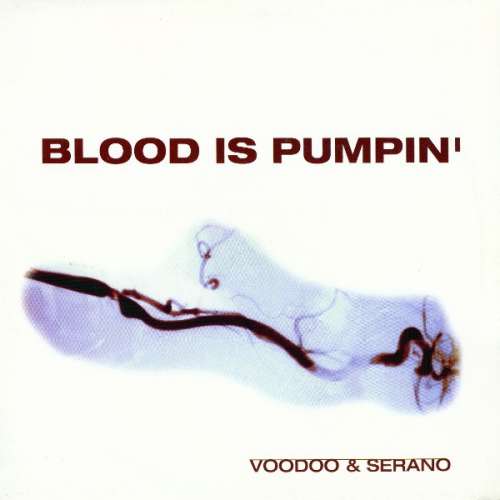 Cover Voodoo & Serano - Blood Is Pumpin' (12) Schallplatten Ankauf
