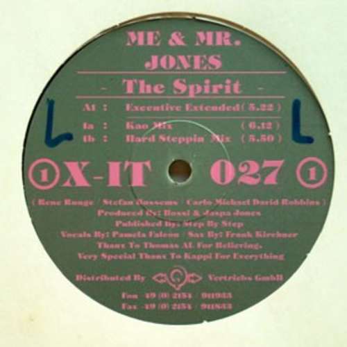 Cover Me & Mr. Jones - The Spirit (12) Schallplatten Ankauf