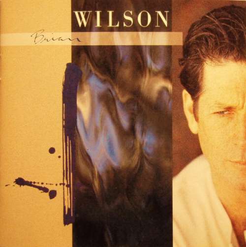 Cover Brian Wilson - Brian Wilson (CD, Album) Schallplatten Ankauf