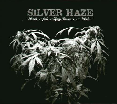 Cover Silver Haze - Secret (12) Schallplatten Ankauf