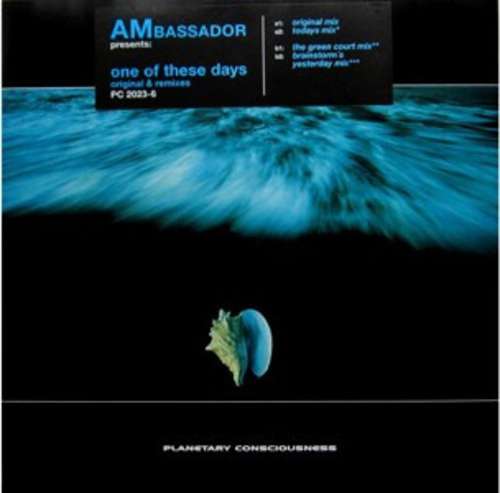 Cover AMbassador - One Of These Days (Original & Remixes) (12) Schallplatten Ankauf
