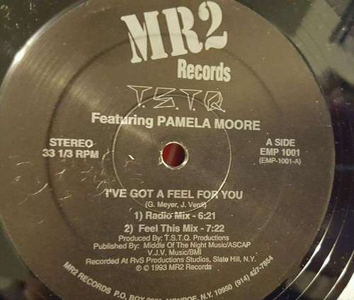Cover T.S.T.Q Featuring Pamela Moore - I've Got A Feel For You (12) Schallplatten Ankauf