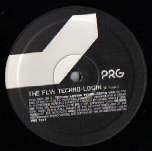 Cover The Fly (2) - Teckno-Logik (12) Schallplatten Ankauf