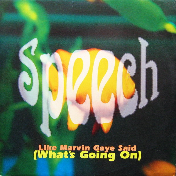 Cover Speech - Like Marvin Gaye Said (What's Going On) (12) Schallplatten Ankauf