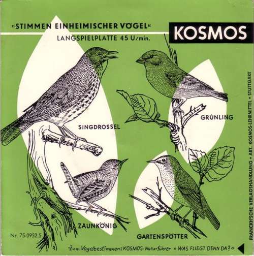 Cover C. Fentzloff* - Stimmen Einheimischer Vögel (7) Schallplatten Ankauf