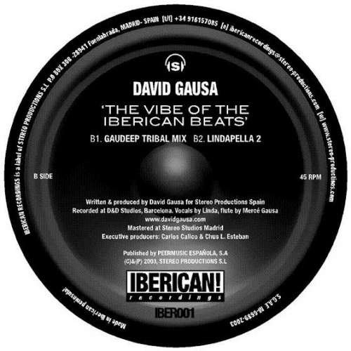 Bild David Gausa - The Vibe Of The Iberican Beats (12) Schallplatten Ankauf