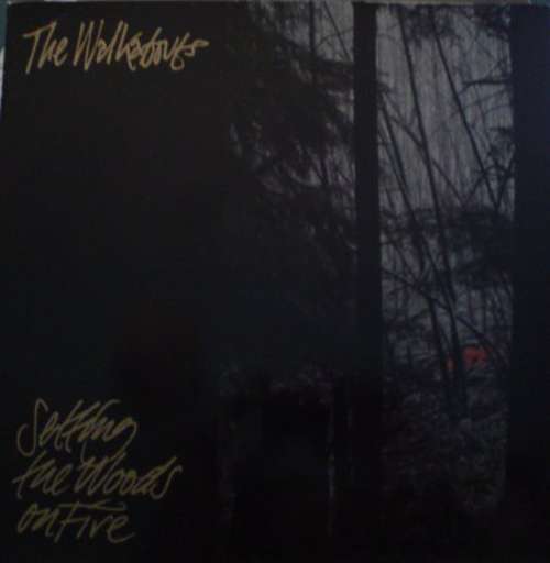 Cover The Walkabouts - Setting The Woods On Fire (2xLP, Album) Schallplatten Ankauf