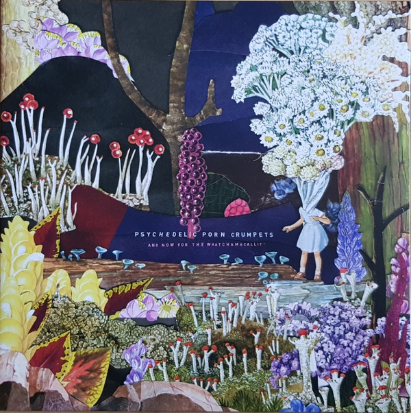 Cover Psychedelic Porn Crumpets - And Now For The Whatchamacallit (LP, Album) Schallplatten Ankauf