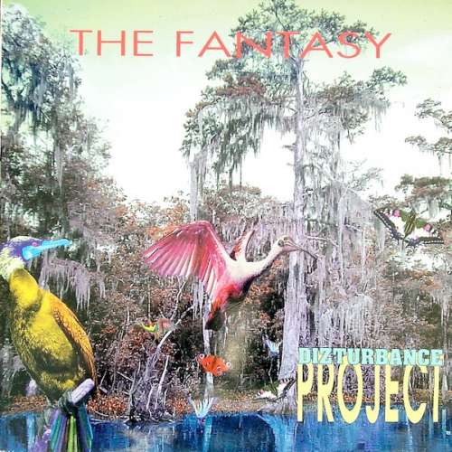 Cover Dizturbance Project - The Fantasy (12) Schallplatten Ankauf