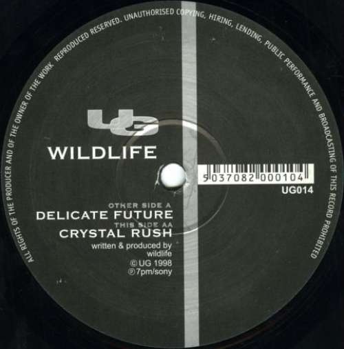 Cover Wildlife - Delicate Future / Crystal Rush (12) Schallplatten Ankauf