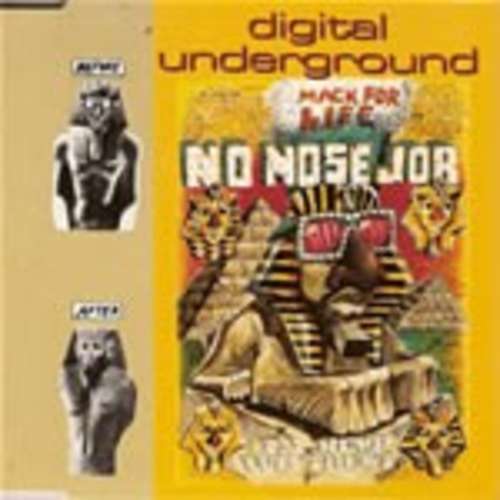 Cover No Nose Job Schallplatten Ankauf