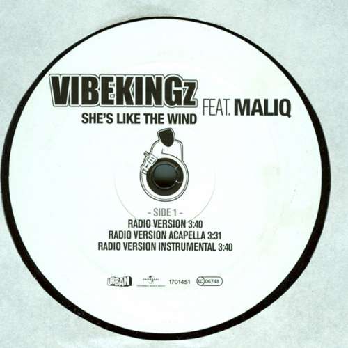 Cover Vibekingz Feat. Maliq - She's Like The Wind (12) Schallplatten Ankauf