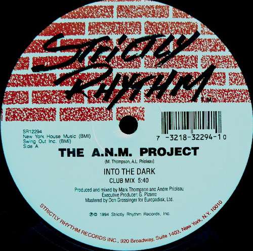 Cover The A.N.M. Project - Into The Dark (12) Schallplatten Ankauf