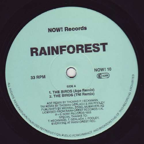 Cover Rainforest - The Birds (12) Schallplatten Ankauf