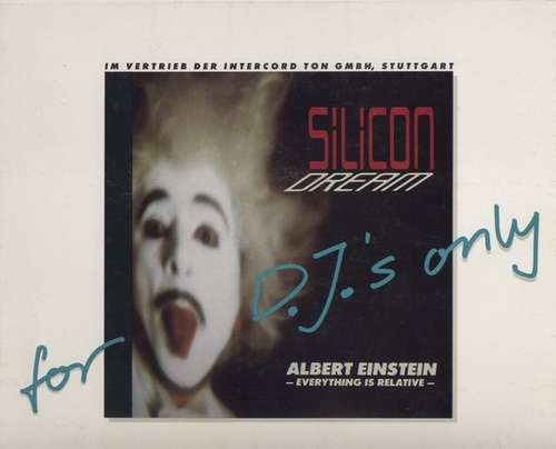 Cover Albert Einstein - Everything Is Relative Schallplatten Ankauf