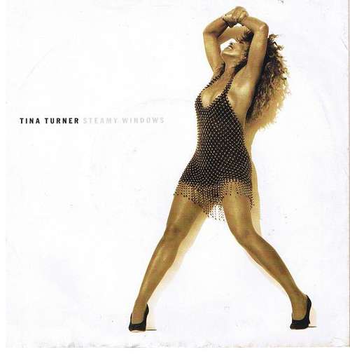 Cover Tina Turner - Steamy Windows (7) Schallplatten Ankauf