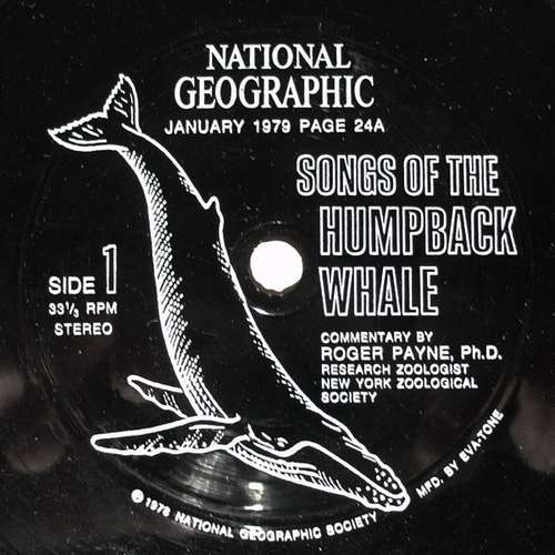 Cover Humpback Whale - Songs Of The Humpback Whale (Flexi, 6, Smplr) Schallplatten Ankauf