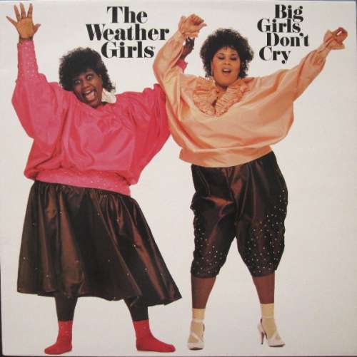 Cover The Weather Girls - Big Girls Don't Cry (LP, Album) Schallplatten Ankauf