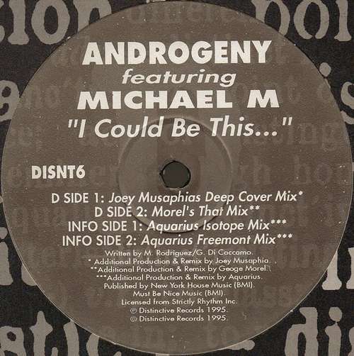 Cover Androgeny Featuring Michael M - I Could Be This ... (12) Schallplatten Ankauf