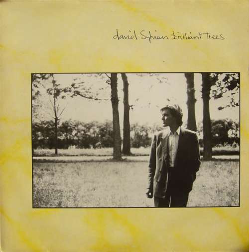 Cover David Sylvian - Brilliant Trees (LP, Album) Schallplatten Ankauf