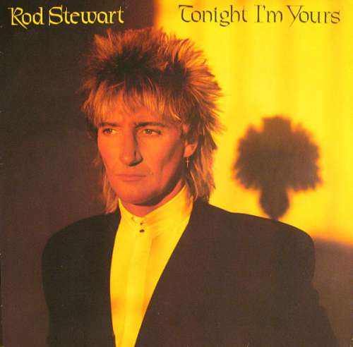 Cover Rod Stewart - Tonight I'm Yours (LP, Album) Schallplatten Ankauf