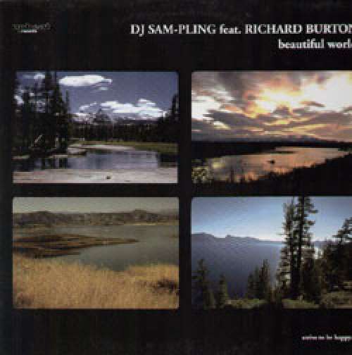 Bild DJ Sam-Pling* feat. Richard Burton (3) - Beautiful World (12) Schallplatten Ankauf