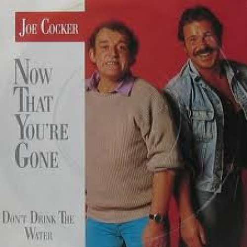 Cover Joe Cocker - Now That You're Gone (7, Single) Schallplatten Ankauf
