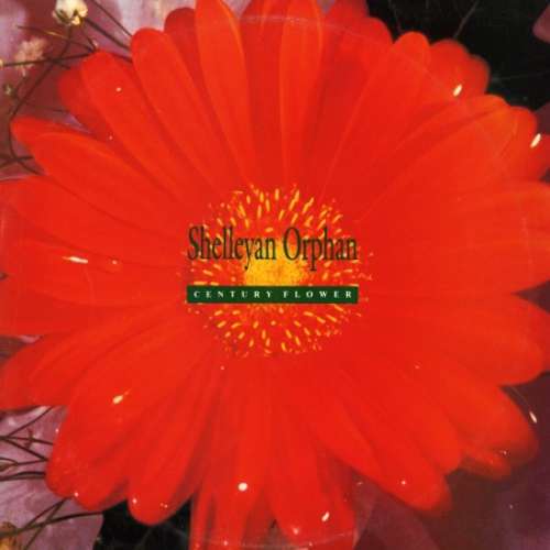 Cover Shelleyan Orphan - Century Flower (LP, Album) Schallplatten Ankauf